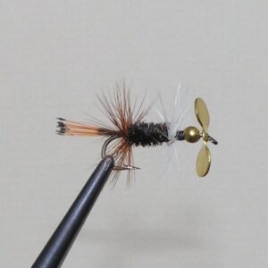 Pistol Pete Peacock Lady 10