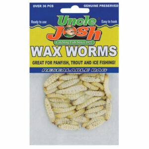 Preserved Wax Worms