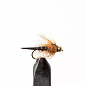 Flies Black Stone BH Sz12