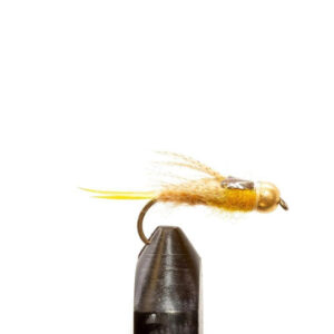 Flies Golden Stone BH Sz12