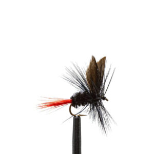 Flies Gnat, BlackRed Tail Sz 16