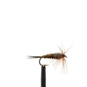 Flies Stonefly, Black Sz8