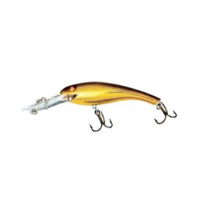 Wally Diver Gold/Black