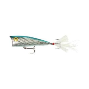 PopR Silver/Blue