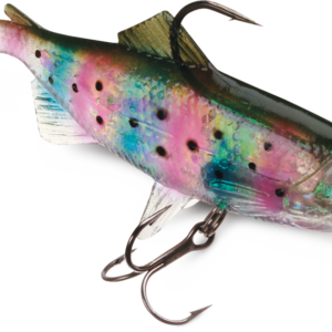 Wildeye Live Rainbow Trout
