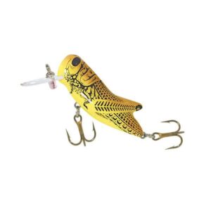 Crickhopper Yellow Grasshopper