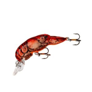 Teeny Wee Craw Cajun
