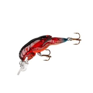 Teeny Wee Craw Nest Robber
