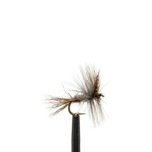 Flies Wulff, Grey Sz12
