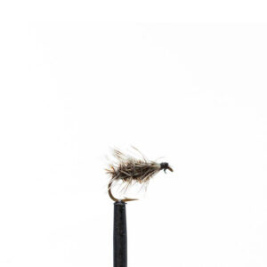 Flies Griffith Gnat, Black Sz16