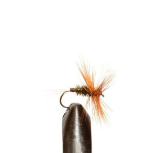 Flies H & L