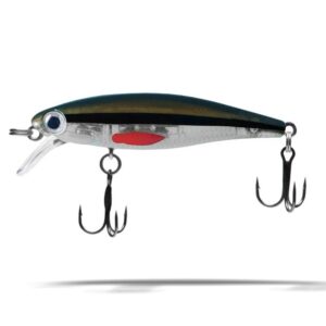HD Trout Redfin Shiner