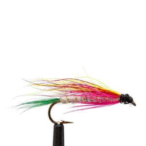 Flies Little Rainbow Trout Sz12