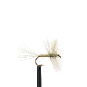 Flies Dun, Pale Evening Sz12