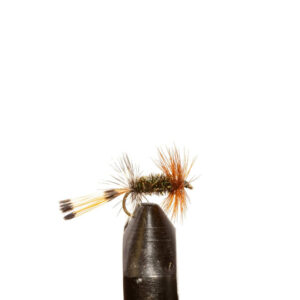 Flies Peacock Lady Sz14