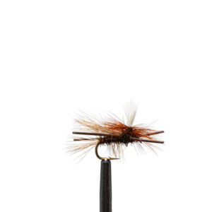 Flies Peacock Madam Sex Sz12