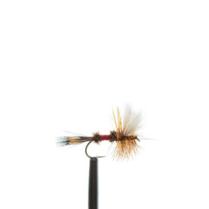 Flies Wulff, Royal Sz14