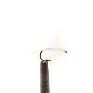Flies Miller, White Sz14
