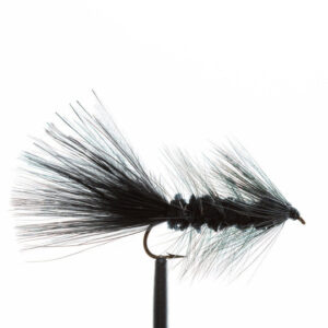 Flies Bugger, Black Sz10