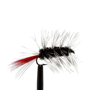 JC Black Wooly Worm Sz8 2pk