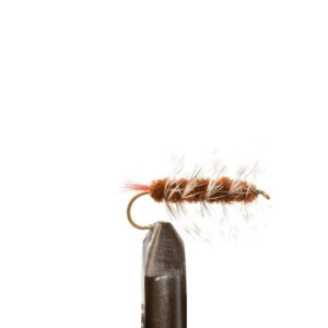 JC Brown Wooly Worm Sz10 2pk